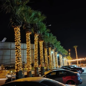 שרשרת לדים מוגנת מים ושמש. מגוון צבעים. חוט לבן. 220 וולט - עד 100 מטר